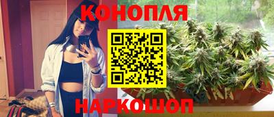 тгк Тверь