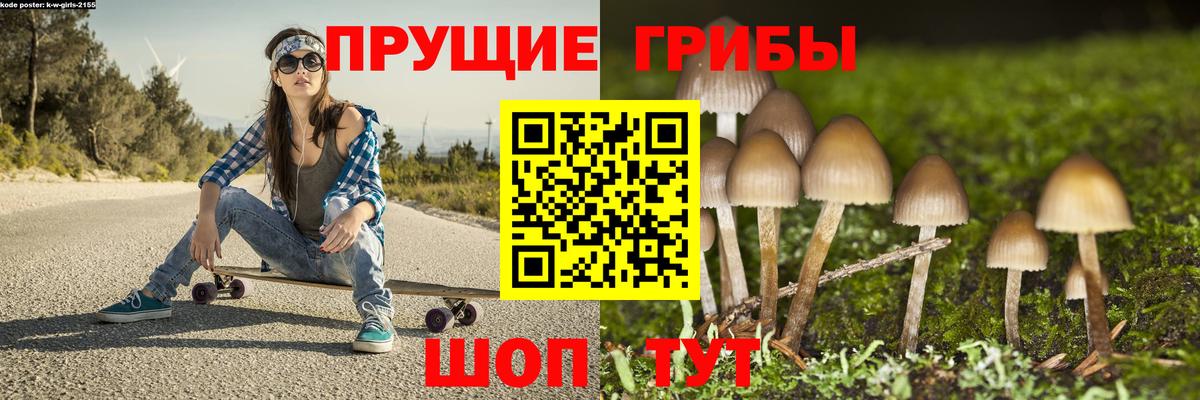 Псилоцибиновые грибы Psilocybe  продажа наркотиков  Каменск-Уральский  Вход с VPN  Псилоцибиновые грибы Magic Shrooms 